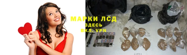гашик Надым
